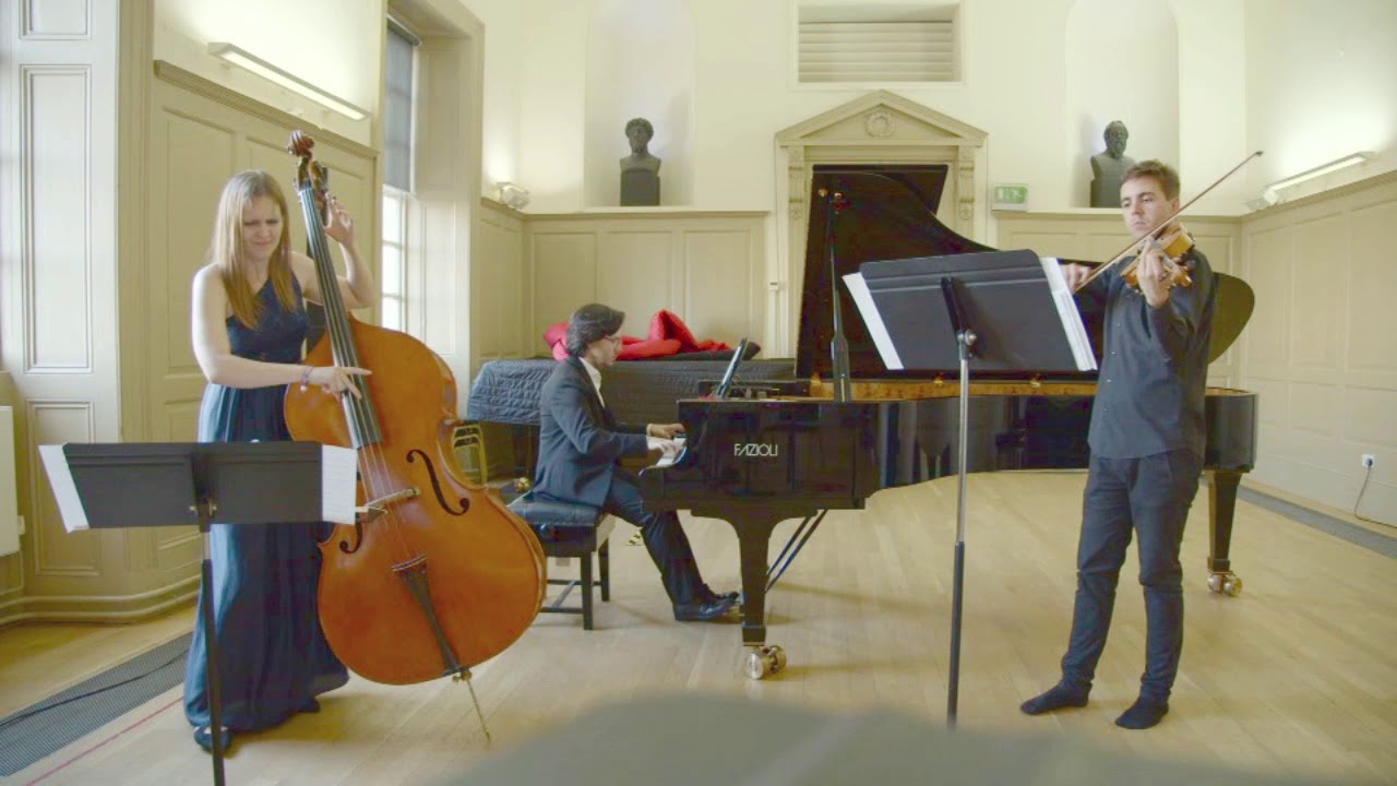 Cletus Awreetus Awrightus - F. Zappa ( Piano trio, double bass and viola)