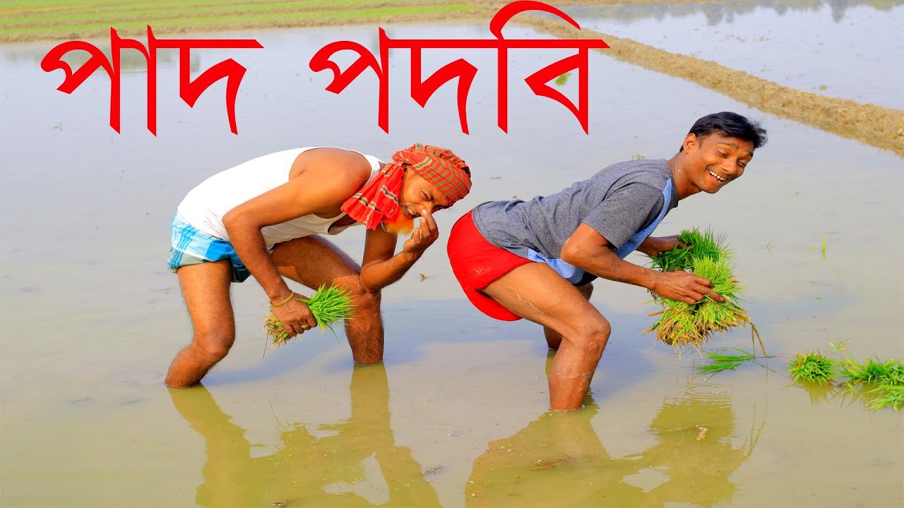 পাদ পদবি । poltur new comedy video । 2025