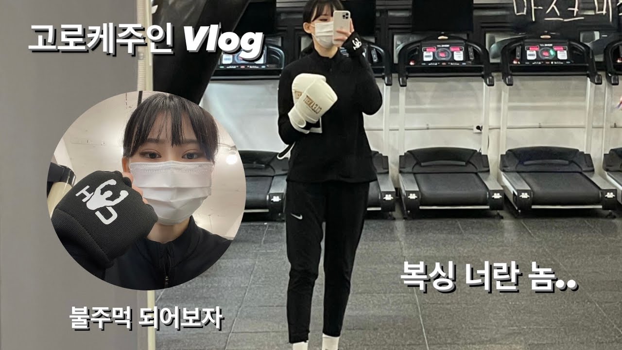 [고로케주인 Vlog] 쨉민이의 복싱 브이로그