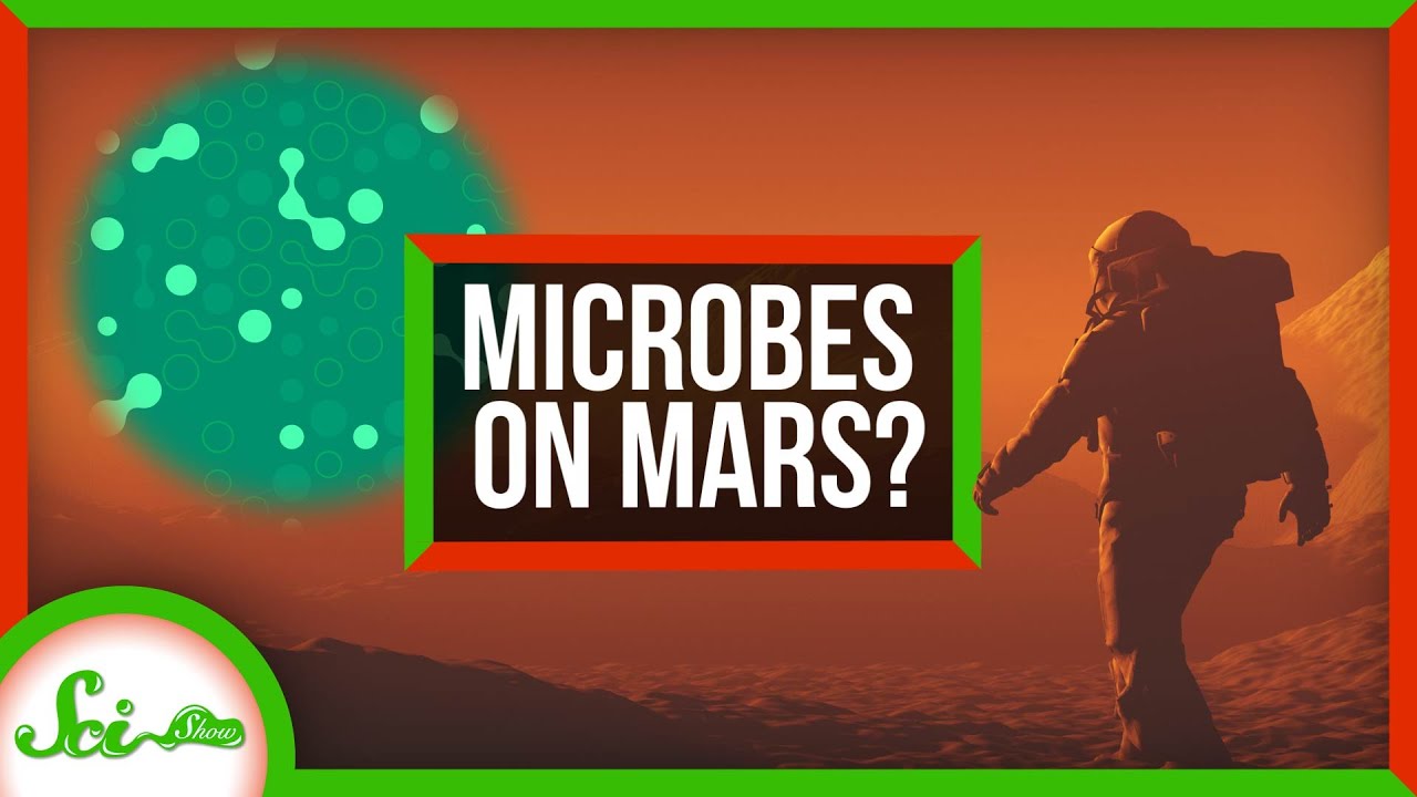 Microbes Might Survive on Mars | SciShow News