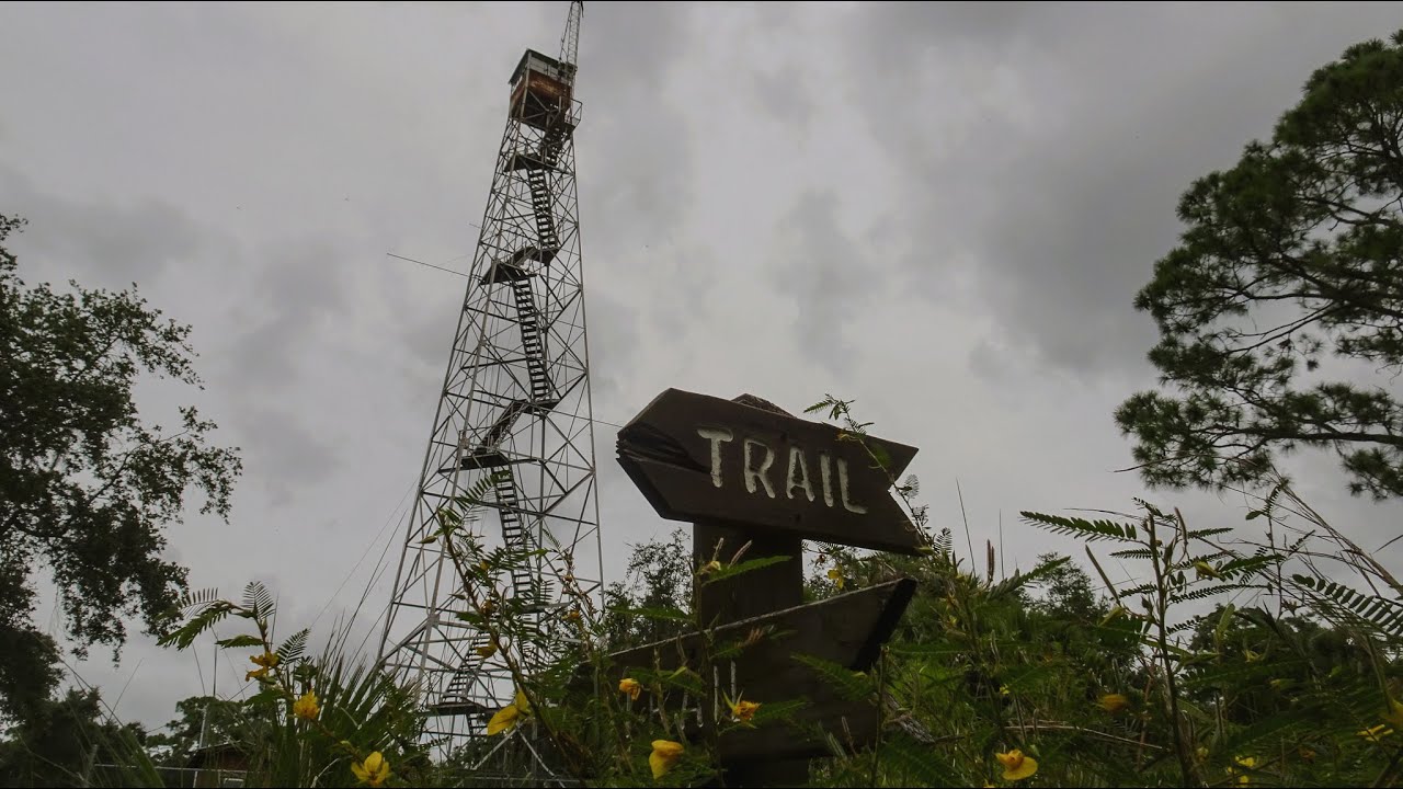 Tower Trail And Unexpected Encounter With Dangerous Wildlife