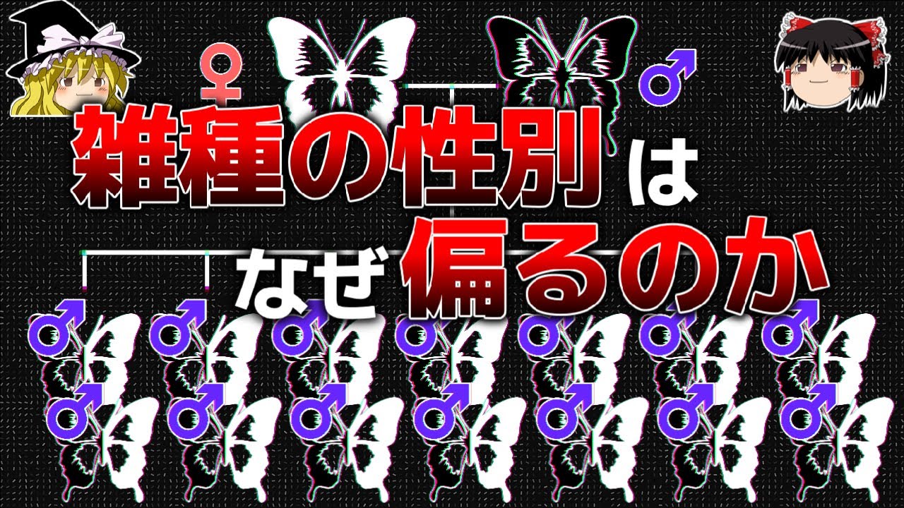 【全員オスになることも】なぜ雑種の性別は極端に偏るのか？【ゆっくり解説】