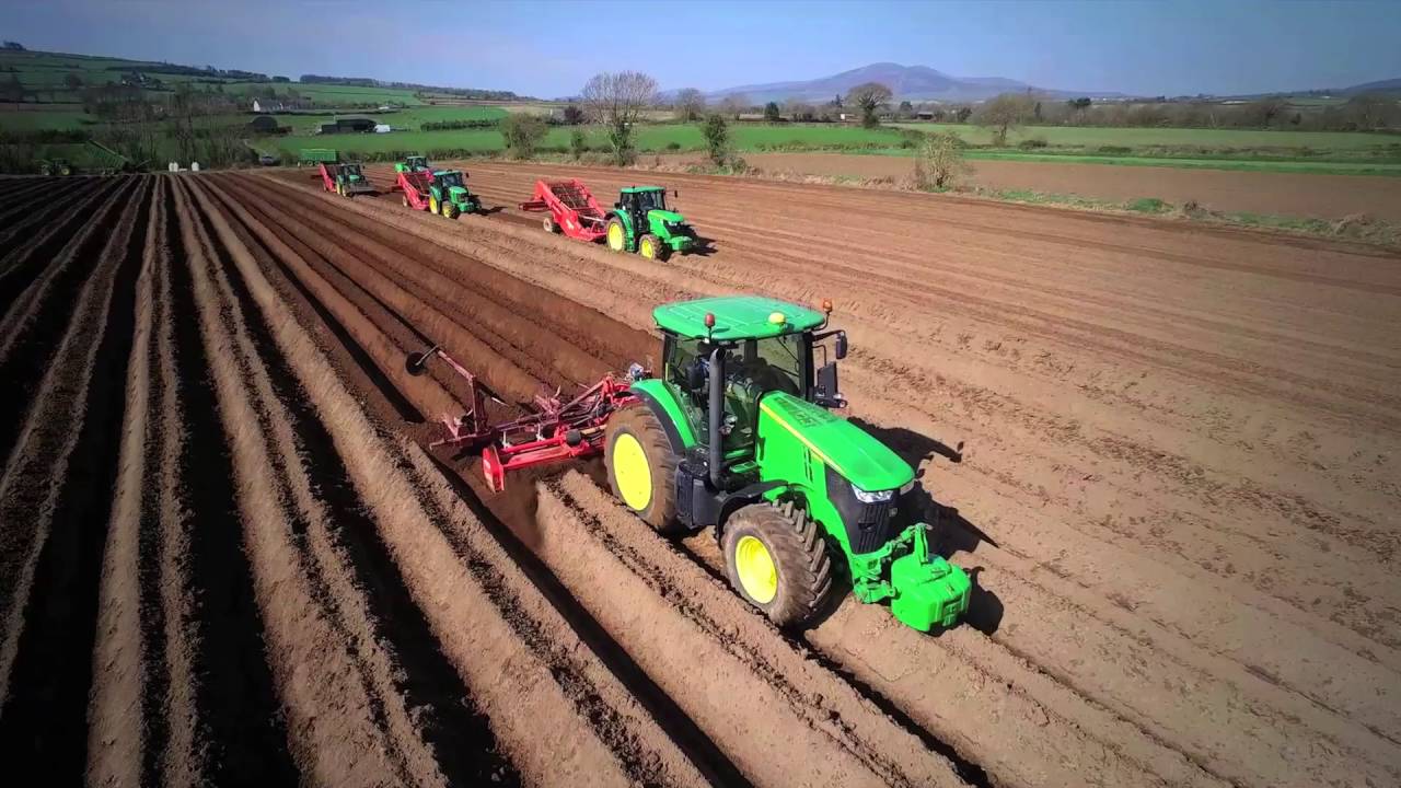 Slaney Farms Potato Sowing Process