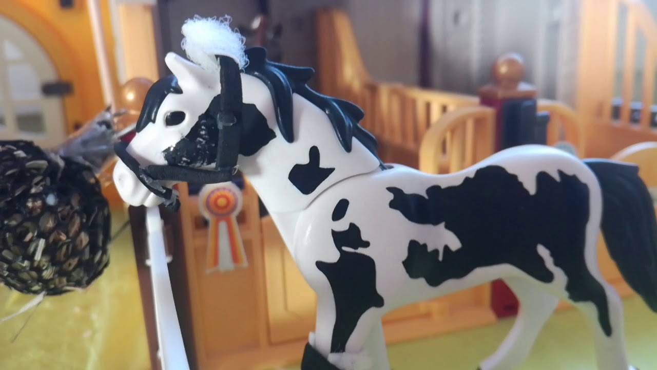 Playmobil Kurzfilm Deutsch - Morgenroutine beim Turnier aus Jumpers Sicht