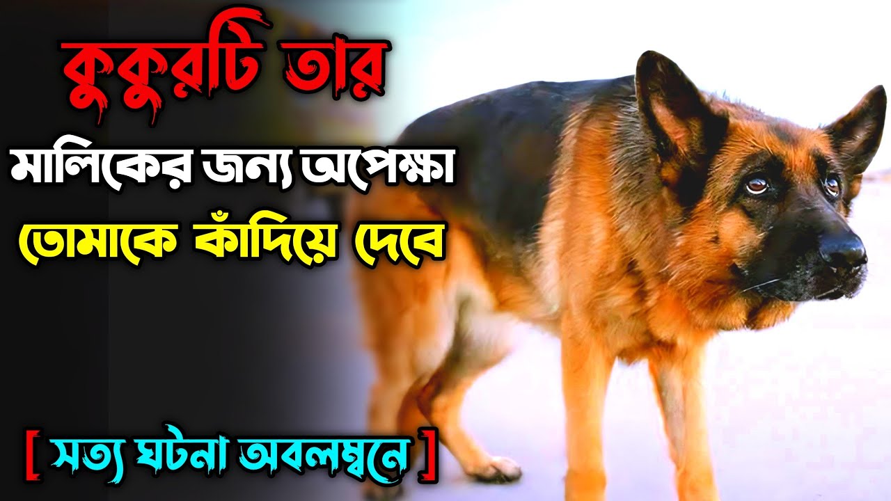 A dog named palma bangla explanation | movie explain Bengal | palma full movie 
