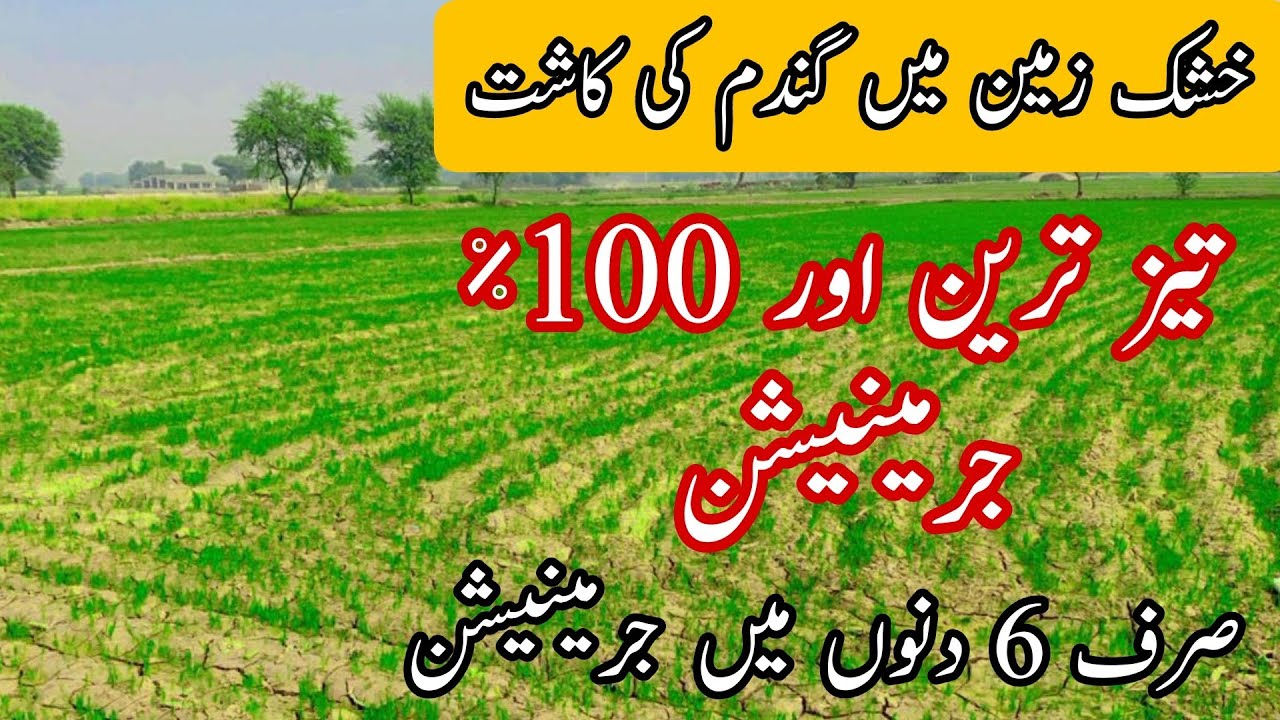 خشک زمیں میں گندم کاشت کرنے کا طریقہ (گھپ شٹ)، زمین کی تیاری