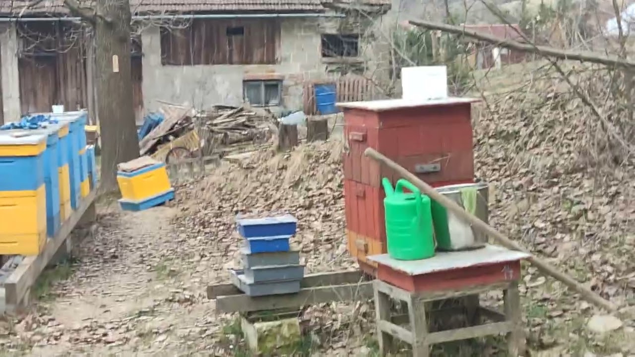 ROBIĘ COŚ ŹLE?! 😳 Mniej ramek = 2x więcej czerwiu | przegląd uli + prawo rozwoju