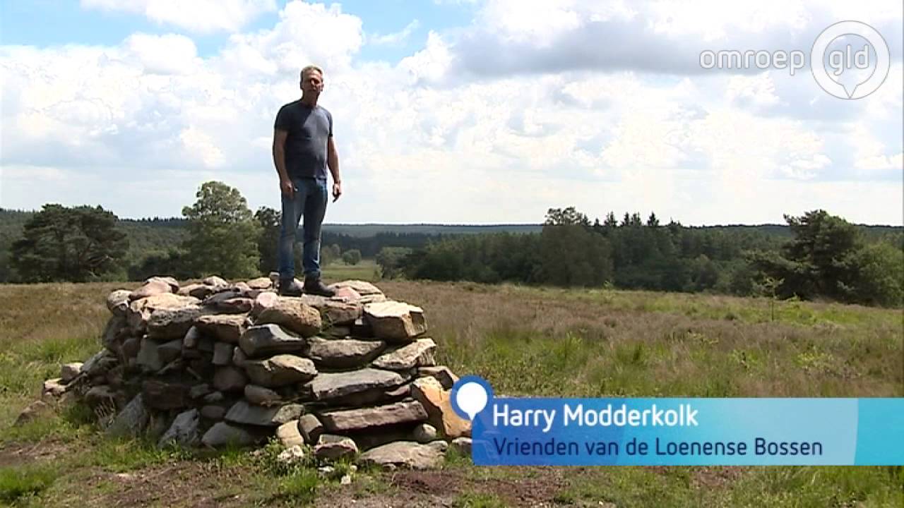 Hoe Loenen zijn Loenermark probeert terug te krijgen - Omroep Gelderland