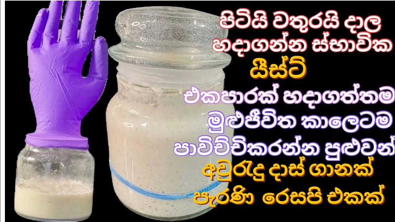 එකපාරක් හදාගත්තම මුළු ජීවිත කාලයටම පාවිච්චි කරන්න පුළුවන් ස්භාවික යීස්ට් මිශ්‍රණය sourdough starter 