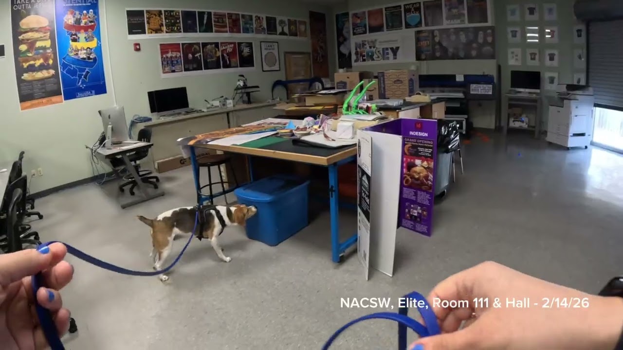 Remy - NACSW - Elite (ELT) - Room 111 & Hall - Flemington NJ 2-14-26