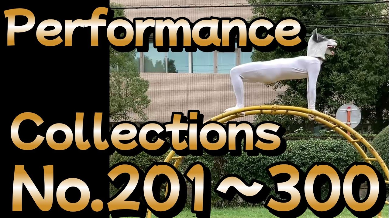 Performance Collections 【No.201～300】