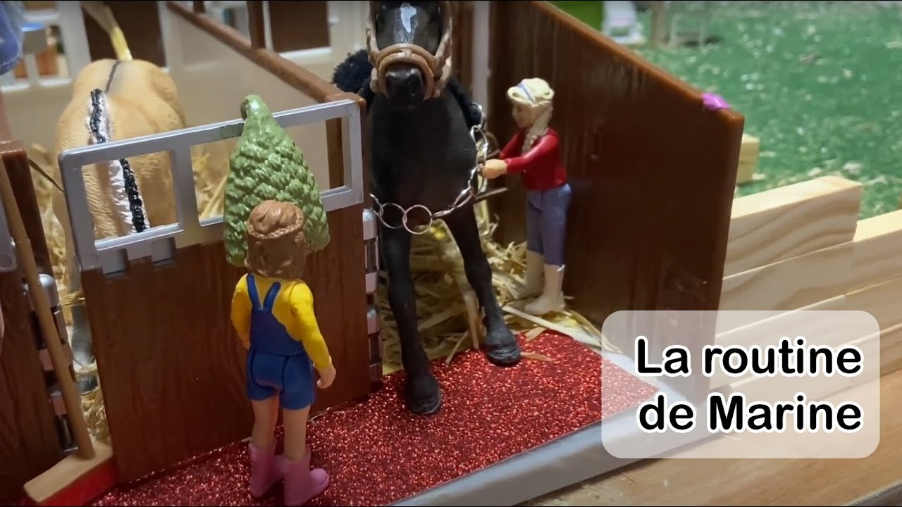 La routine de Marine