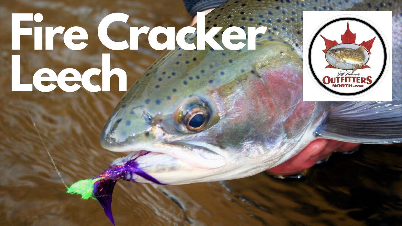 Fish Cannot Resist This Fly! - Firecracker Leech Tutorial