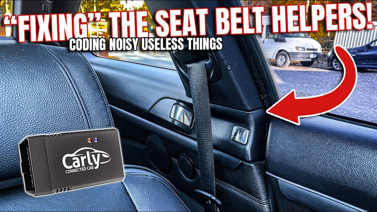 The TRUTH about CARLY for BMW & WHO SHOULD USE IT!