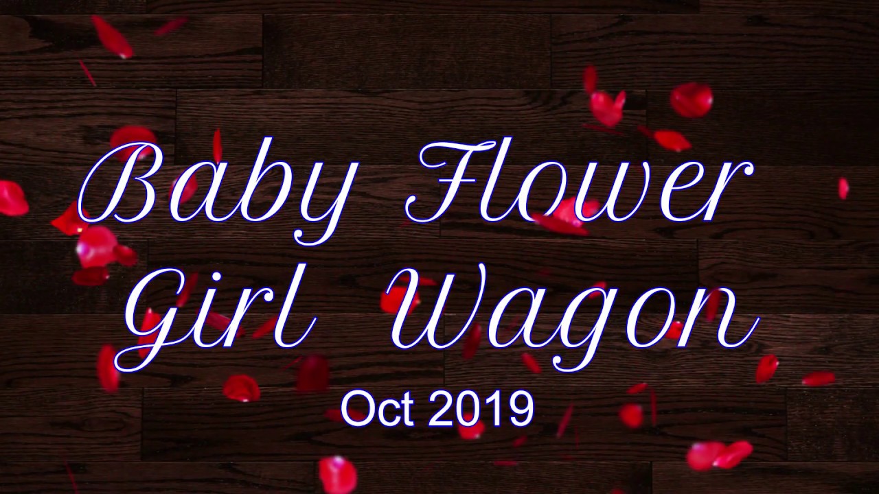 Little Baby Flower Girl Wagon!