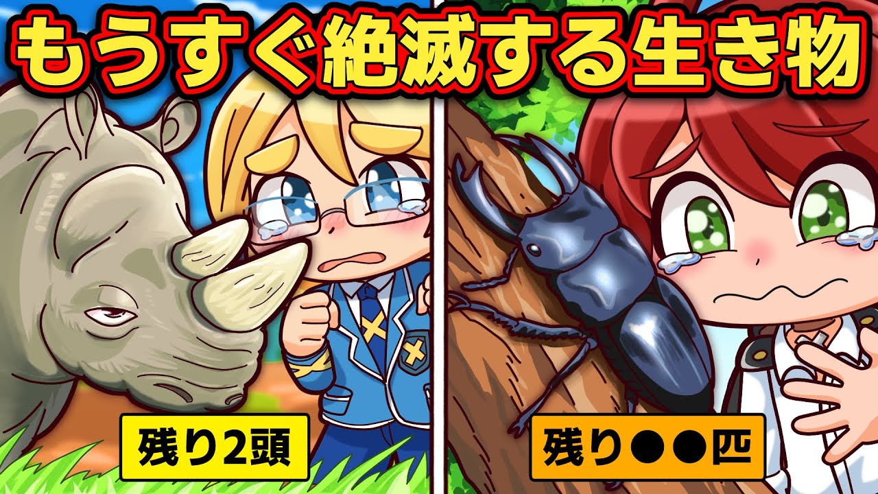 もうすぐ地球から消える…絶滅寸前の生き物5選【アニメ】【マンガ】