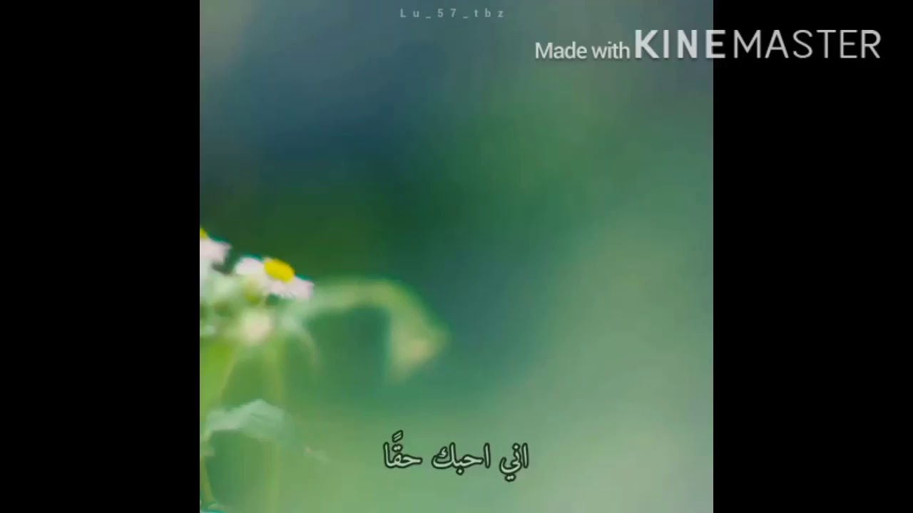 جولة انستقرامية مع ذا بويز 🤍/صبغة شعر هوال😨/هبل الاعضاء 🤪/الطف ماكني في الكيبوب 🥺💜والمزيد...