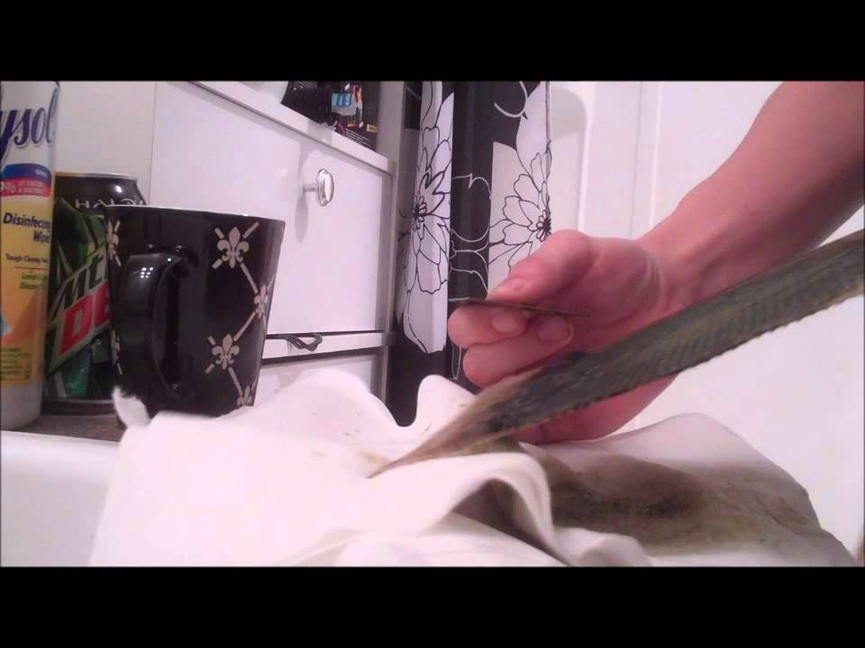 Upflow algae scrubber 2nd cleaning