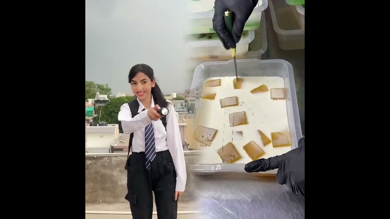 🤣😜😜👌👌👌2026 pov Must-Watch Crazy Clips Compilation #humor #fypシ #pov #fyp #foryou 😍😜