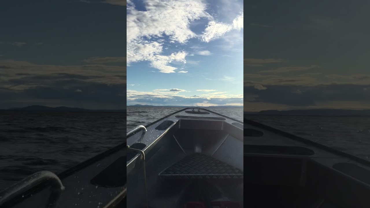 Silver Dolphin 19.5