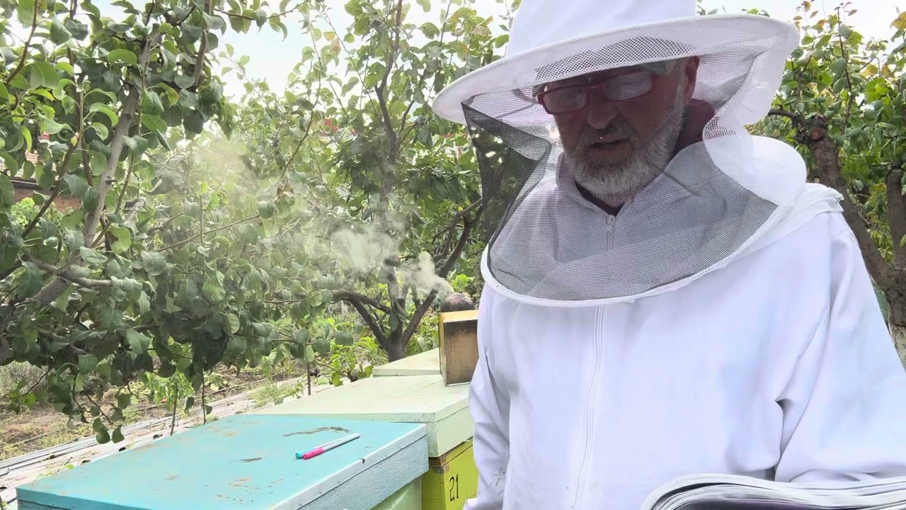 🐝🌿 Apicultura în Delta Dunării – Stupina Paradis Tulcea 🍯🏝️