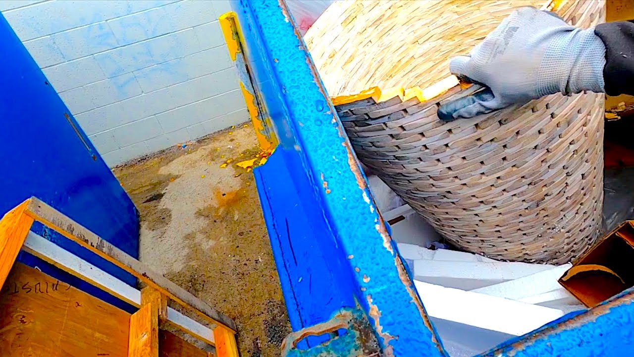 Dumpster Diving- Would you look at that!
