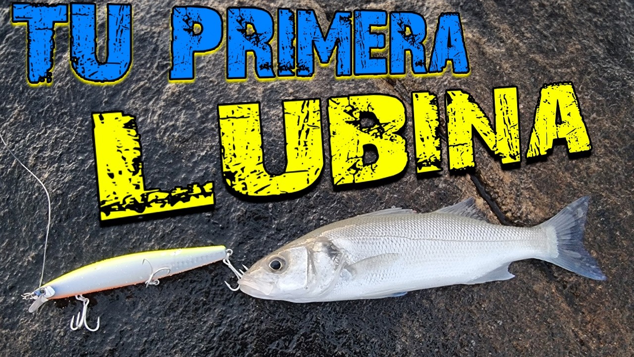 &iquest;Cuanto tiempo se tarda en PESCAR tu Primera LUBINA A SPINNING?