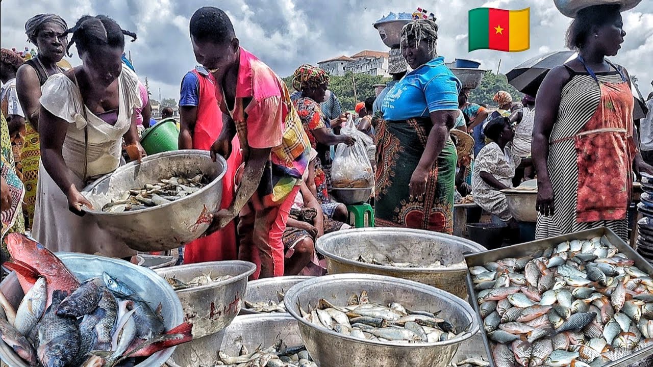 Biggest fish market in Douala 🇨🇲. Youpwe fish market Bonapriso Douala Cameroun central Africa 🌍