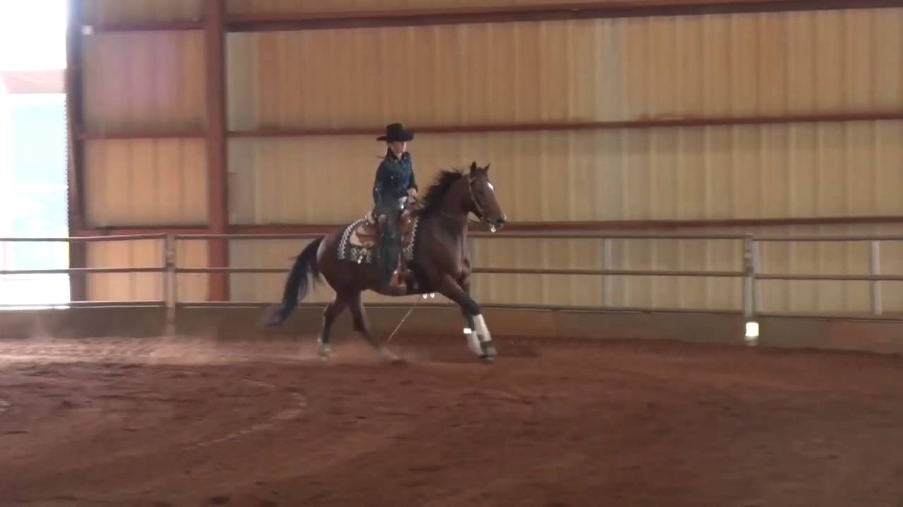 161002 Robin Foster on Smart Mates Wrangler G2
