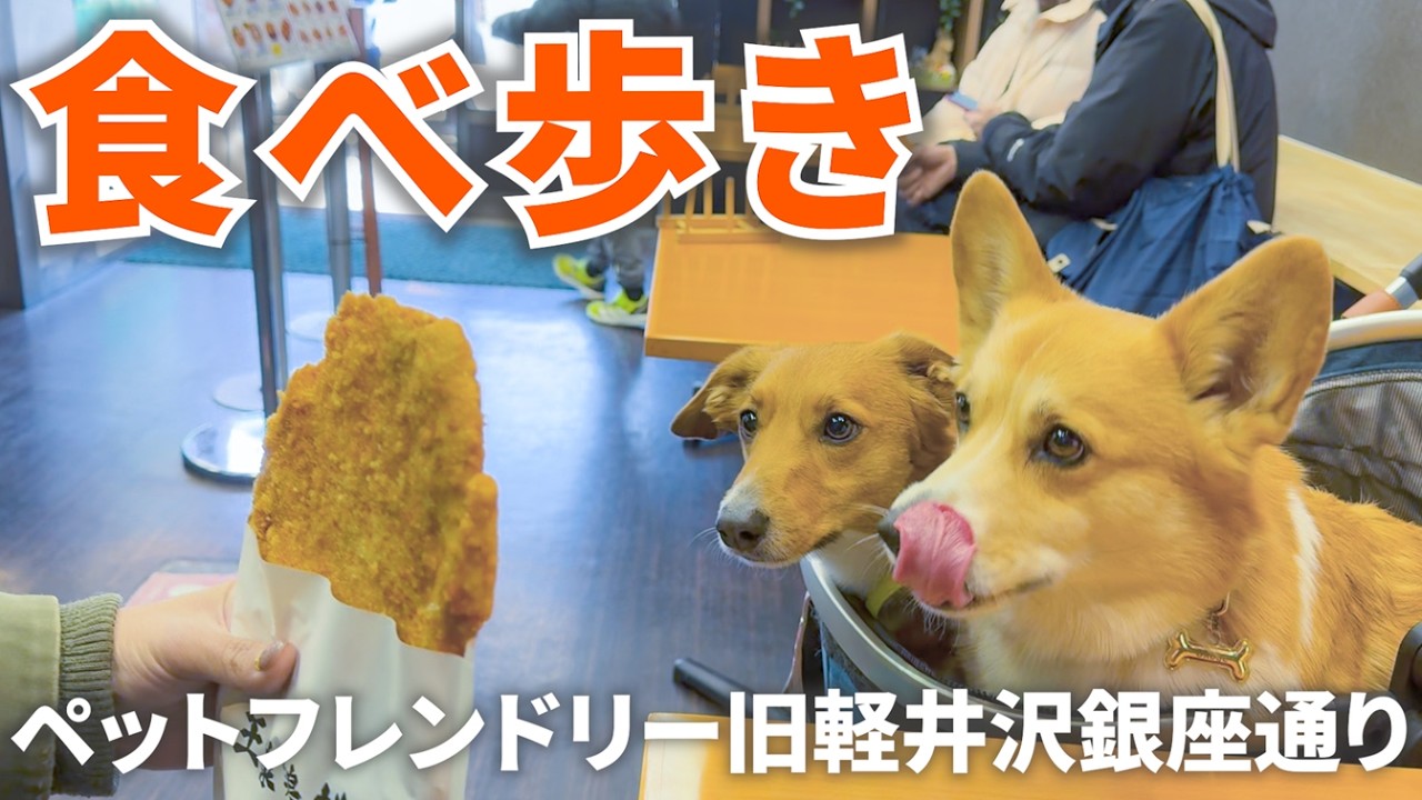 【コーギー】ペットフレンドリーな『旧軽井沢銀座通り』で食べ歩きVlog