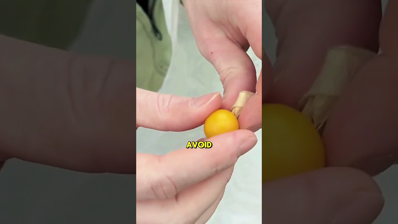 What is Physalis Taste, Benefits, and Fun Facts