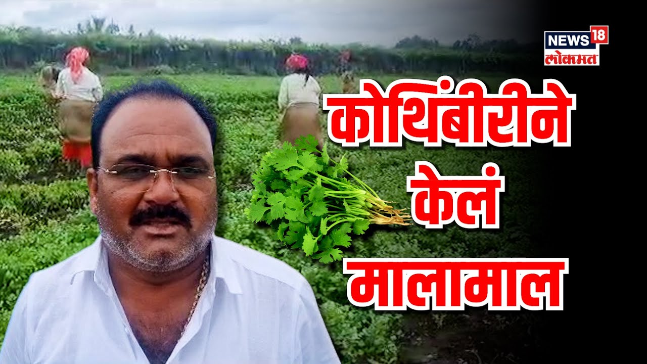 Coriander Farming | कोथिंबीर ठरली फायदे का सौदा, केवळ एक एकरात शेतकरी झाला 'लखपती'! | #nwmarathi