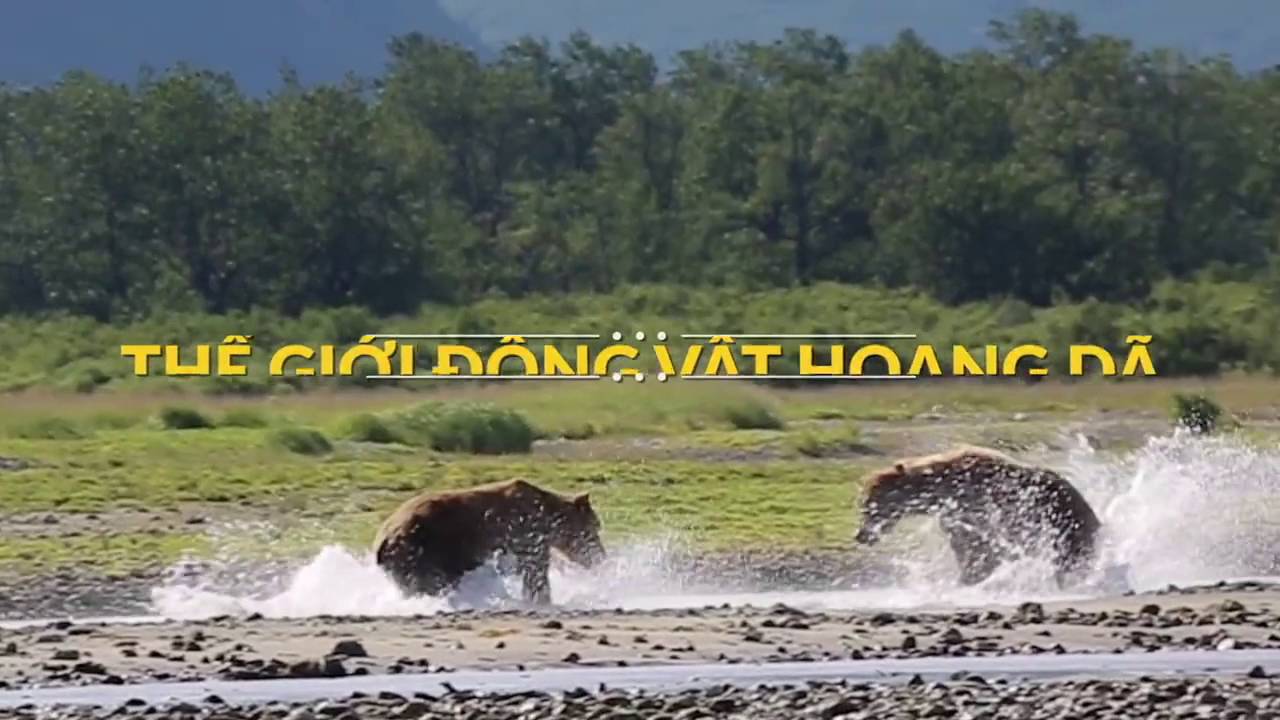 ALS Trip 2017 - ALASKA - HOA KỲ