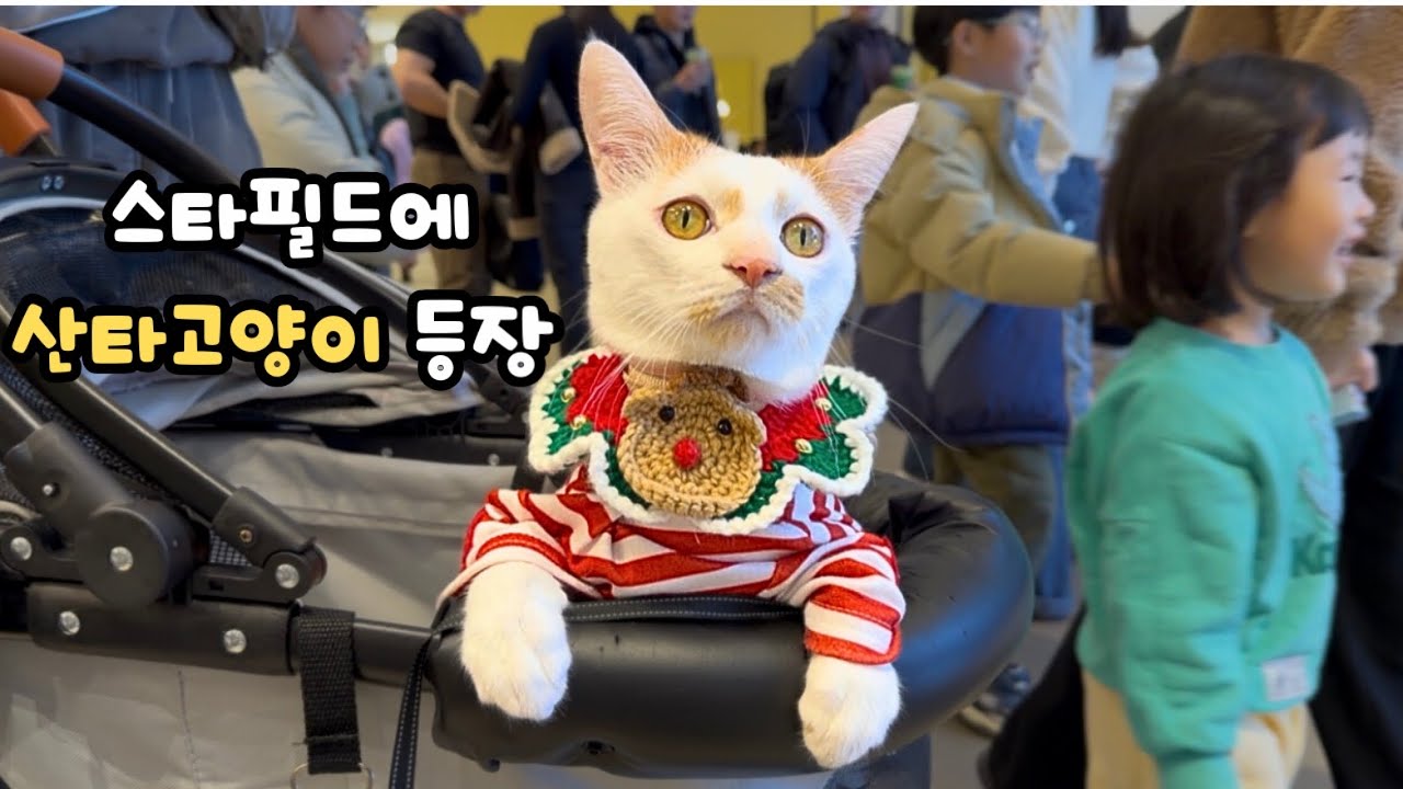 고양이가 스타필드 크리스마스 트리 앞에 나타났다?!(sub)A cat appeared in front of Starfield’s Christmas tree? #고양이 #cat 