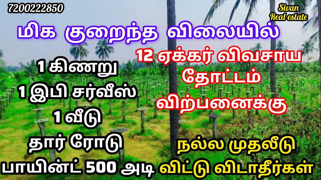 மிக குறைந்த விலையில் 12 ஏக்கர் விவசாய தோட்டம் விற்பனைக்கு தென்காசி மாவட்டம் சிவகிரி அருகில்