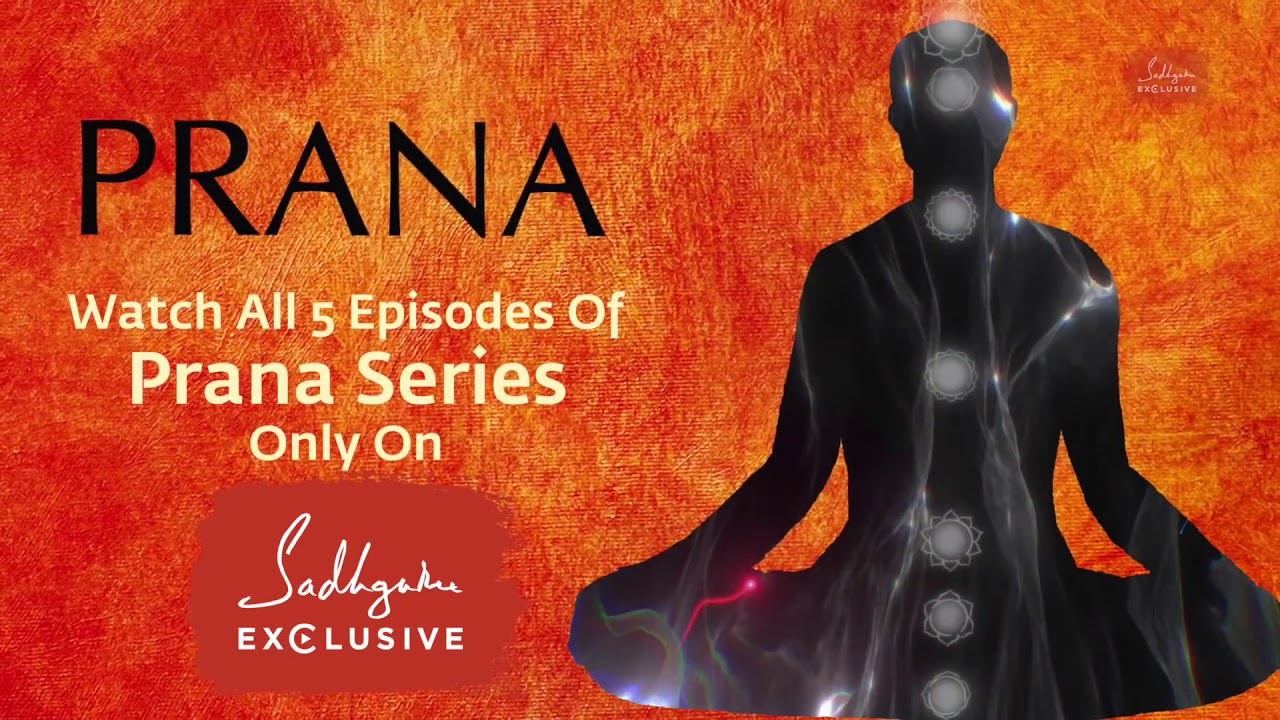 Sadhguru Maps A Person's Energy System - Sadhguru Exclusive