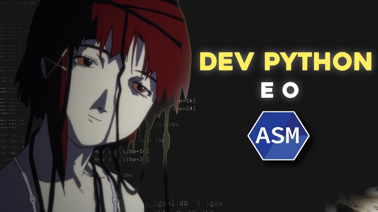 Dev python e a autodestruição com assembly.