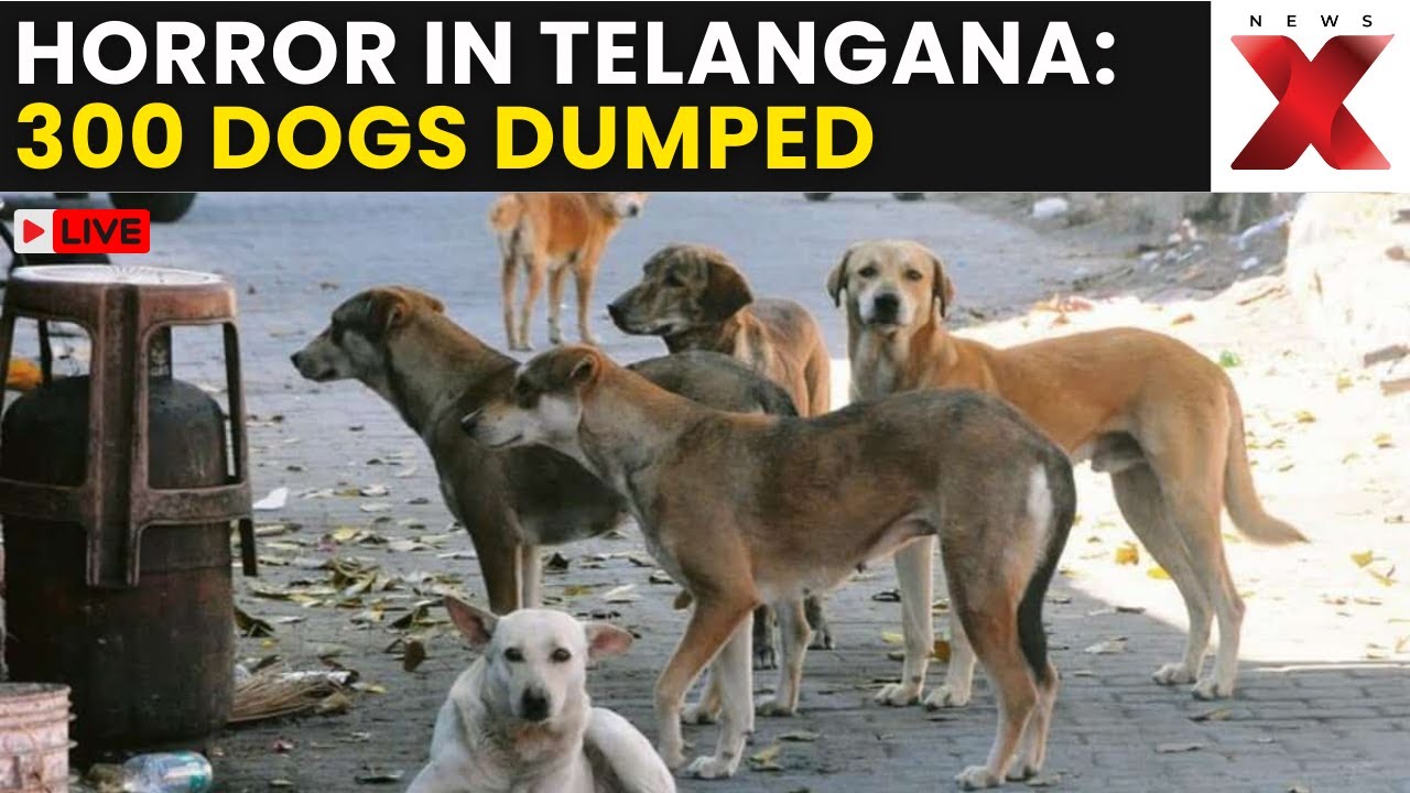 Stray Dog Massacre LIVE | 300 Dogs Dead in One Village, Telangana Sees Massive Outrage
