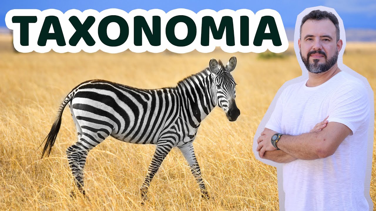 Taxonomia