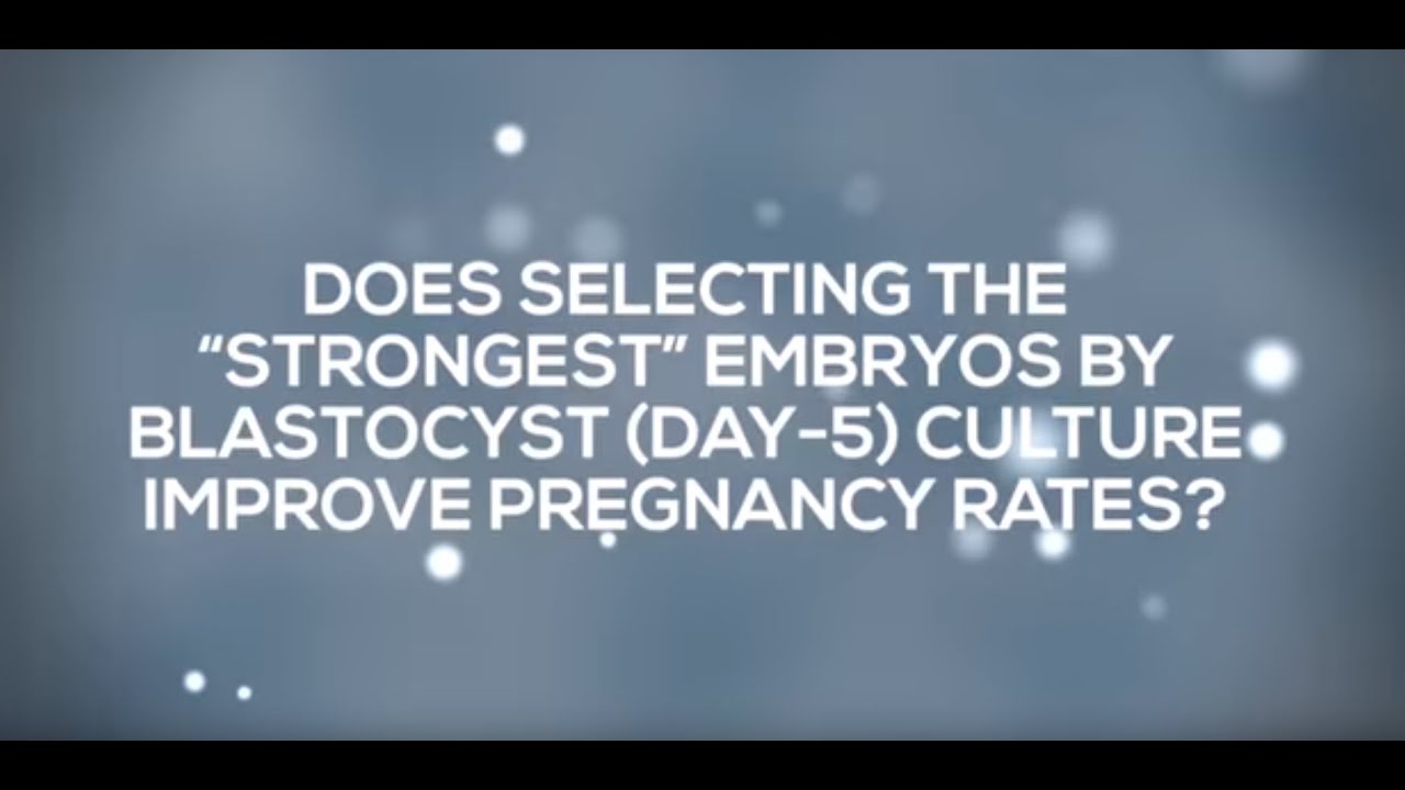 Blastocyst Culture in IVF Is Not for Everyone