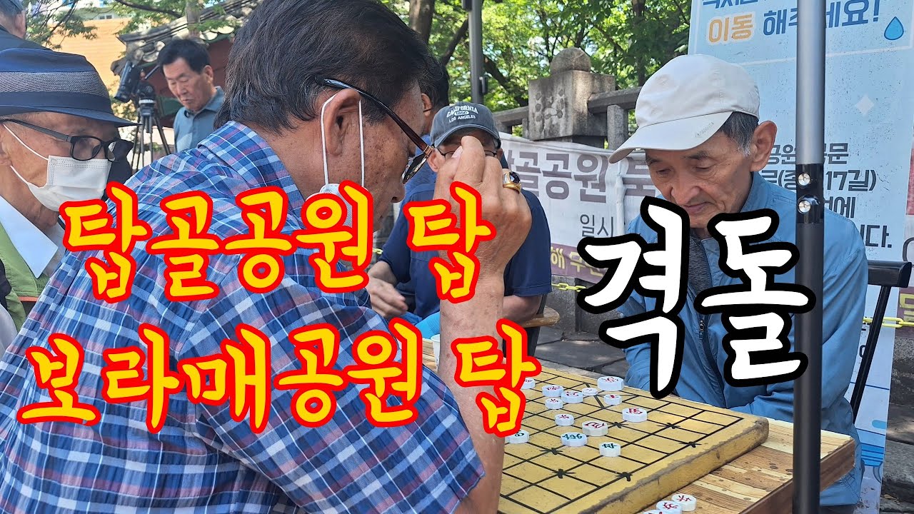 탑골.보라매 양대산맥의 격돌(Xiangqi, 象棋)(Shogi, 将棋)(Chaturanga)(Cờ tướng)