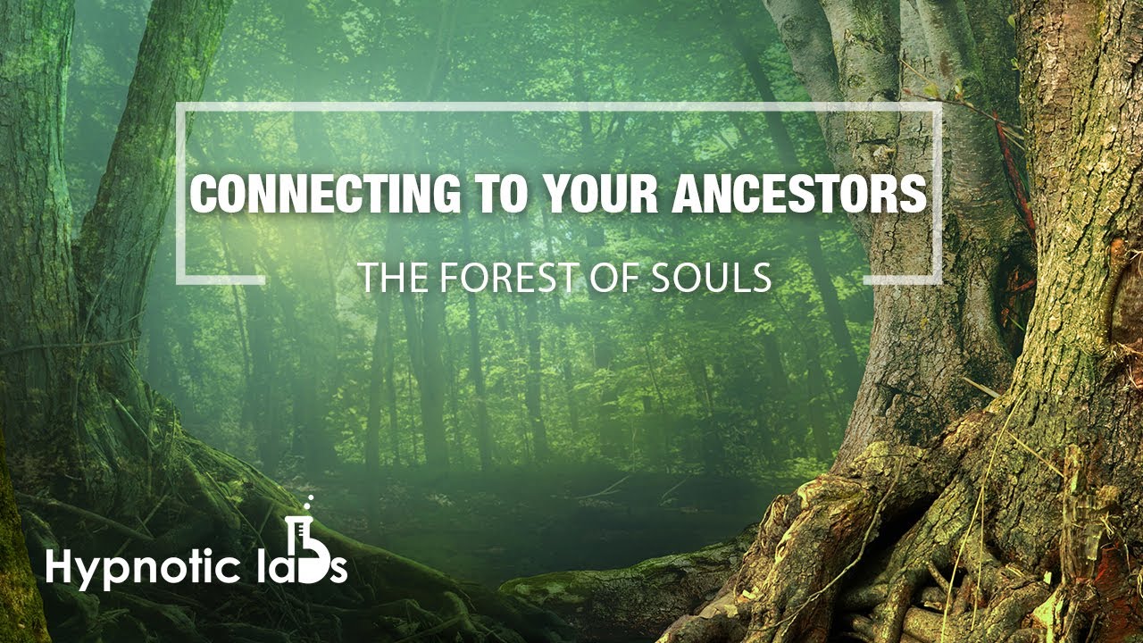 Hypnosis For Connecting To Your Ancestors, Lost Loved Ones and the Afterlife (Forest Of Souls)