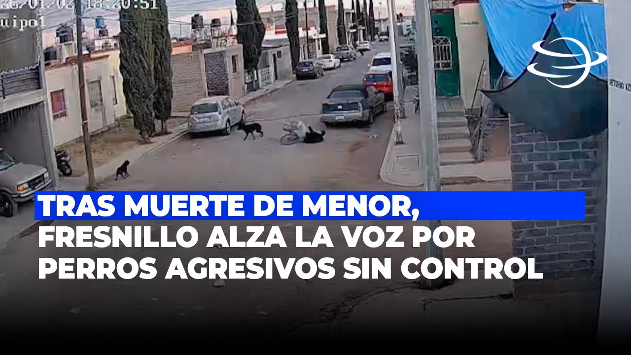 Tras muerte de menor, Fresnillo alza la voz por perros agresivos sin control