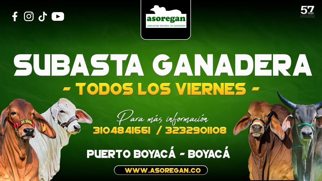 Subasta  Ganadera  Asoregan🐂🚛  Marzo 13 de 2026