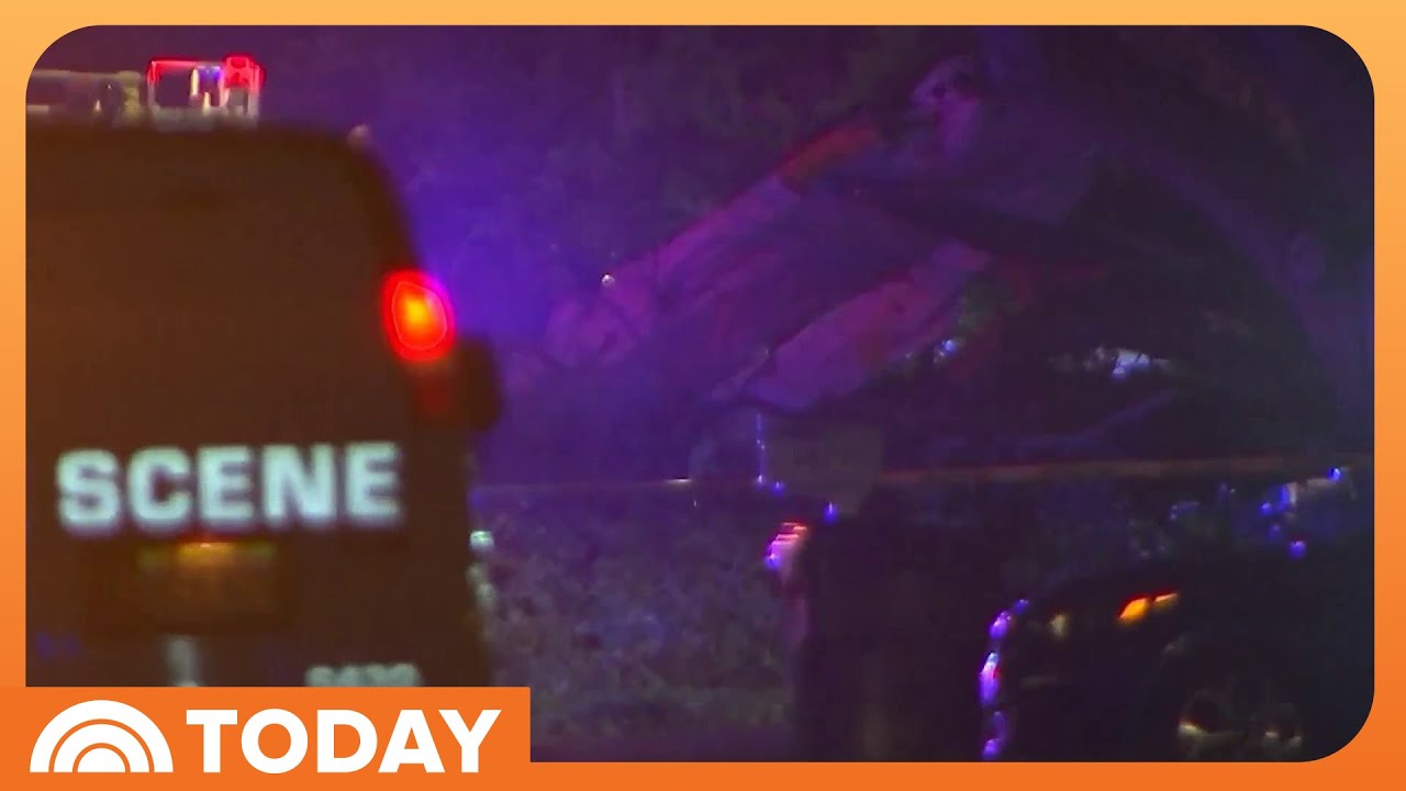 Pilot, 3 Passengers Hospitalized After Small Plane Crash in Florida