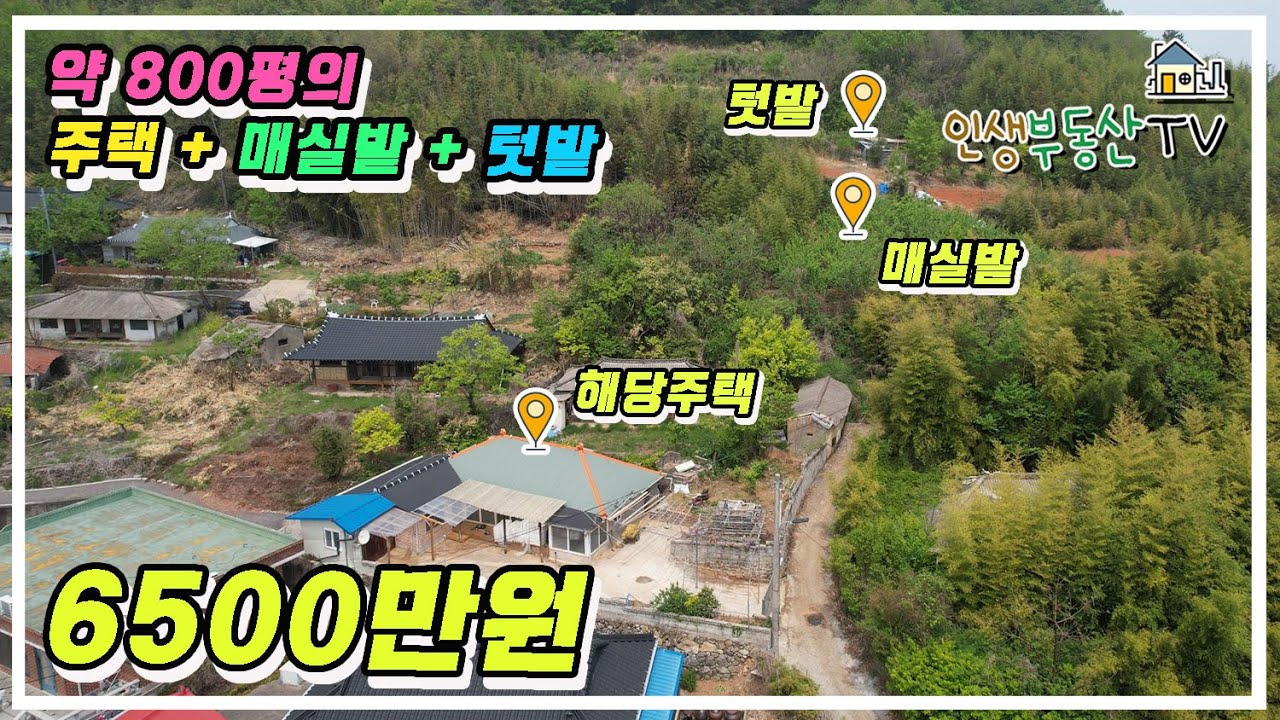800평에 가까운 바닷가 마을 주택 + 매실밭 + 텃밭 이 모두가 6500만원