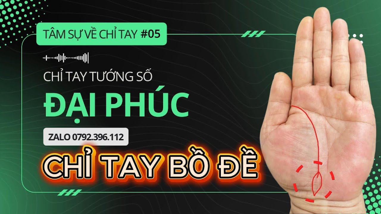 Chỉ Tay Lá Bồ Đề - Dấu Ấn Của Người Sinh Ra Để Trả Nghiệp Cho Đời