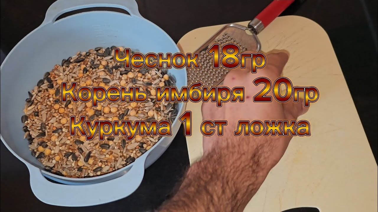 Для поднятия иммунитета голубей Чеснок+ имбирь+куркума #голуби #кабутар #աղավնի #pigeon #tauben