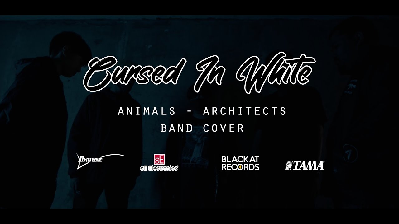 Architects - Animals (Full Band Cover by Cursed In White)