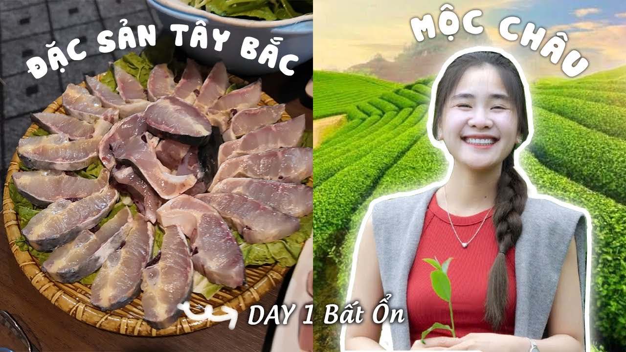 Day #1 Bất Ổn Tại Mộc Châu Với Những Đặc Sản Tây Bắc | Ly Mỡ